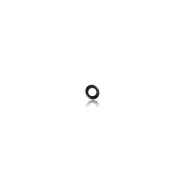 iPad Pro 9.7" Rear Camera Holder with Lens - Black