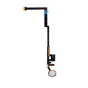 iPad 5/6 Home Button assembly w/ Flex Cable Ribbon - Gold