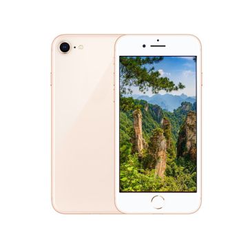 iPhone 8 256GB Gold - Grade A